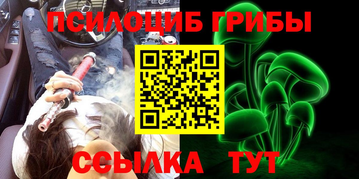 Гудермес  Галлюциногенные грибы ЛСД  Вход с VPN  Галлюциногенные грибы Psilocybe 