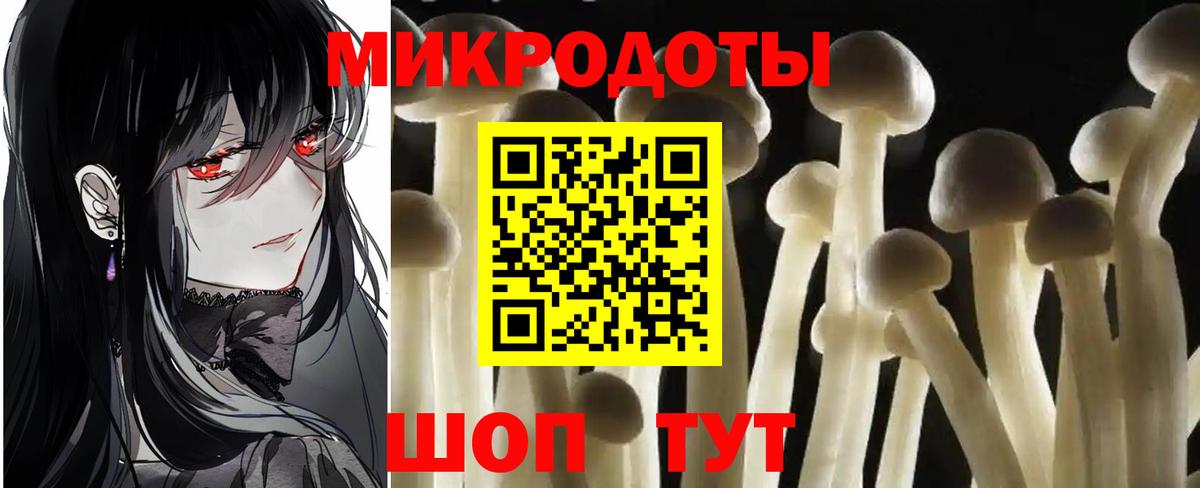 Псилоцибиновые грибы Psilocybe Гудермес