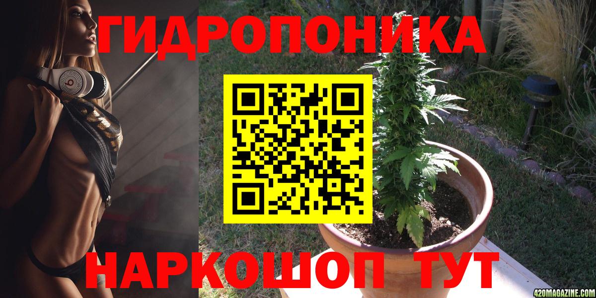 Гудермес  Шишки марихуана тримм  Вход с VPN  Бошки Шишки сатива 